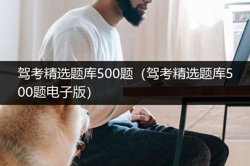 驾考精选题库500题（驾考精选题库500题电子版）